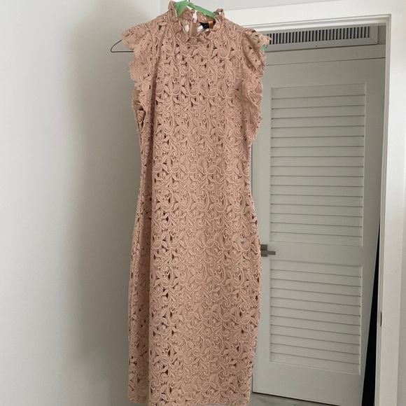 Zara Dresses & Skirts - Blush lace Zara dress with slip